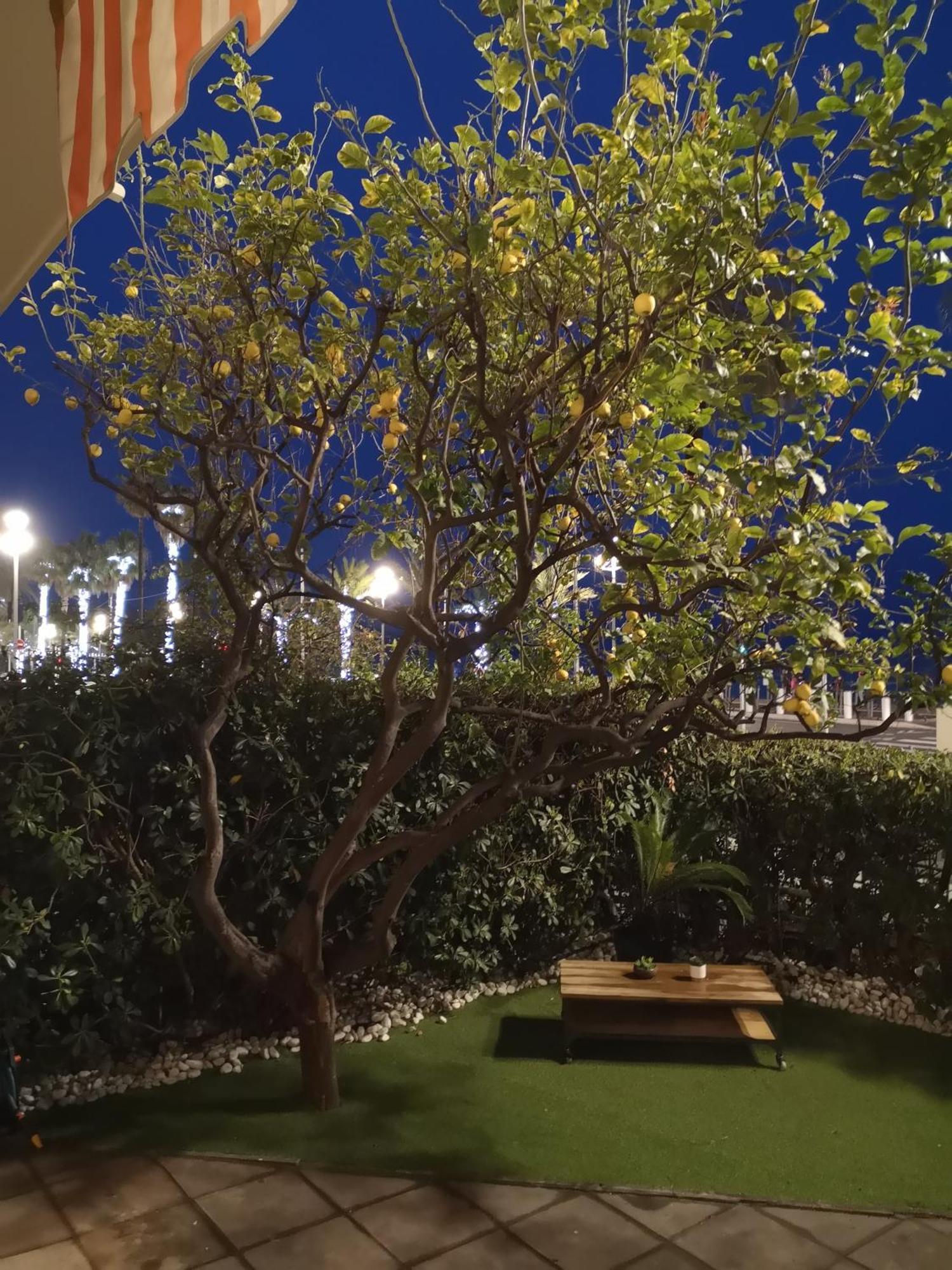 Апартаменти Garden Atlantide Promenade Ніцца Екстер'єр фото