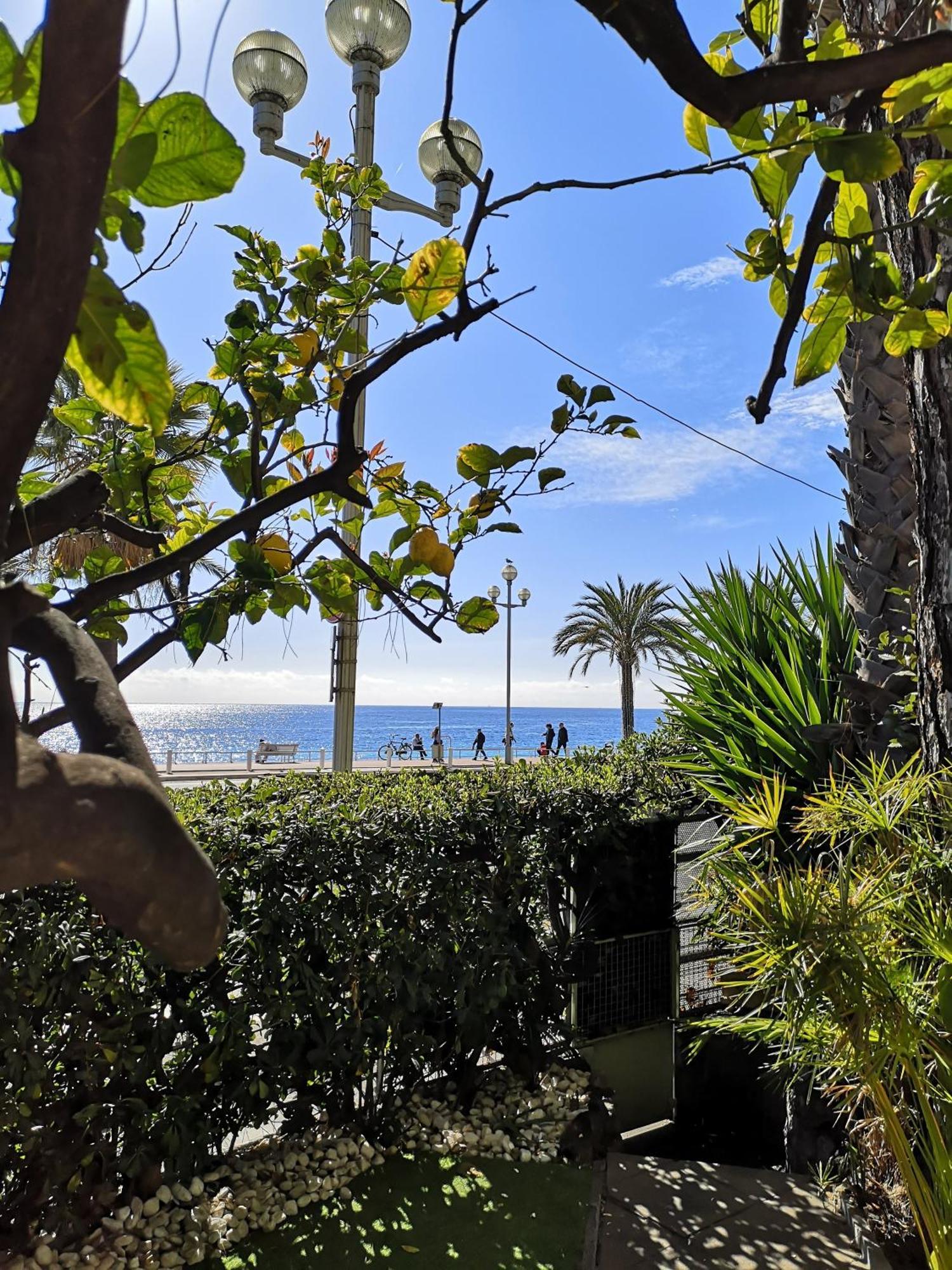 Апартаменти Garden Atlantide Promenade Ніцца Екстер'єр фото
