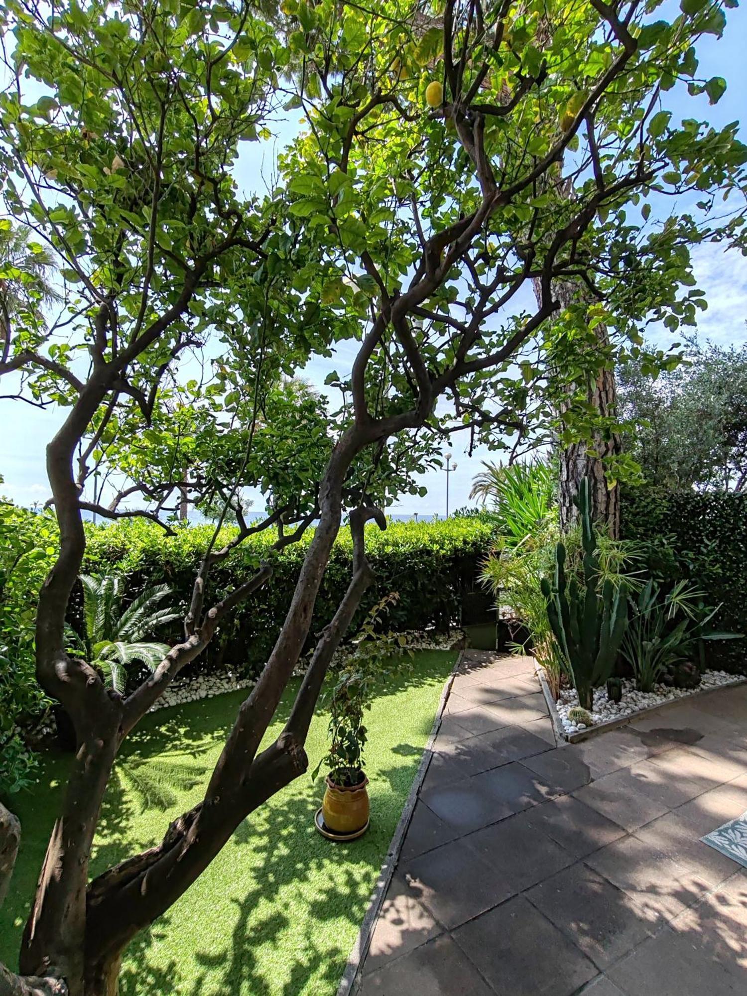 Апартаменти Garden Atlantide Promenade Ніцца Екстер'єр фото