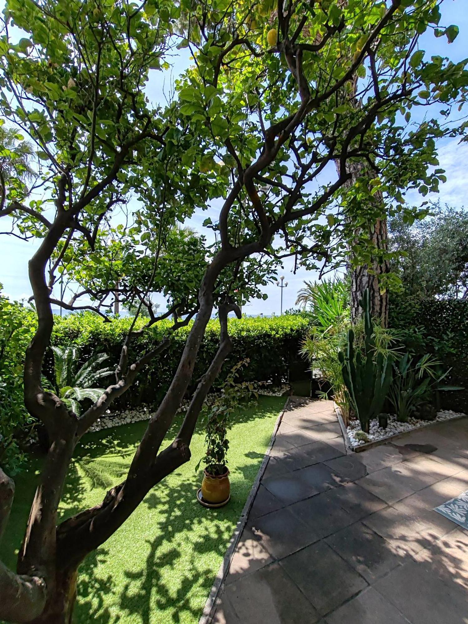 Апартаменти Garden Atlantide Promenade Ніцца Екстер'єр фото
